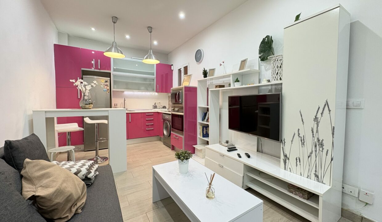 IMG_5521 - copia (2)