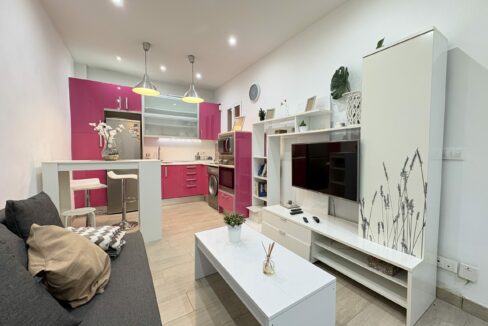 IMG_5521 - copia (2)