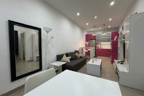 IMG_5529 - copia (3)