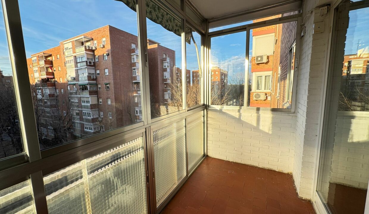 WhatsApp Image 2026-01-20 at 11.57.32