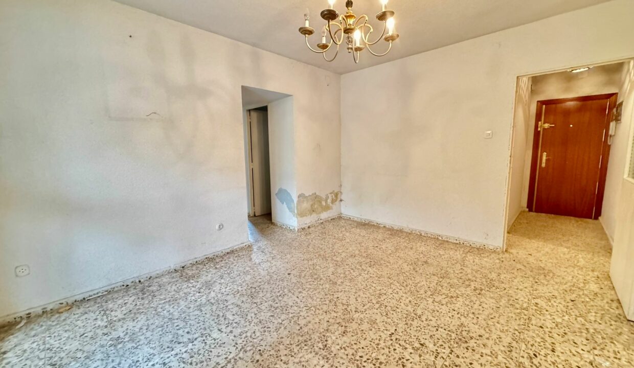 WhatsApp Image 2026-04-11 at 13.28.51 (3)